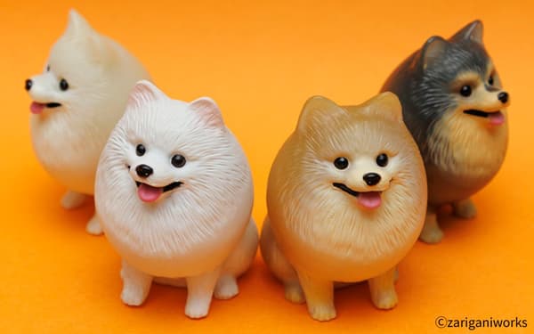 Pomerania Brillante con luces apagadas