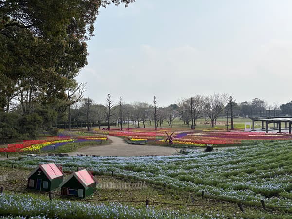 Hamparan bunga pada 30 Maret 2026