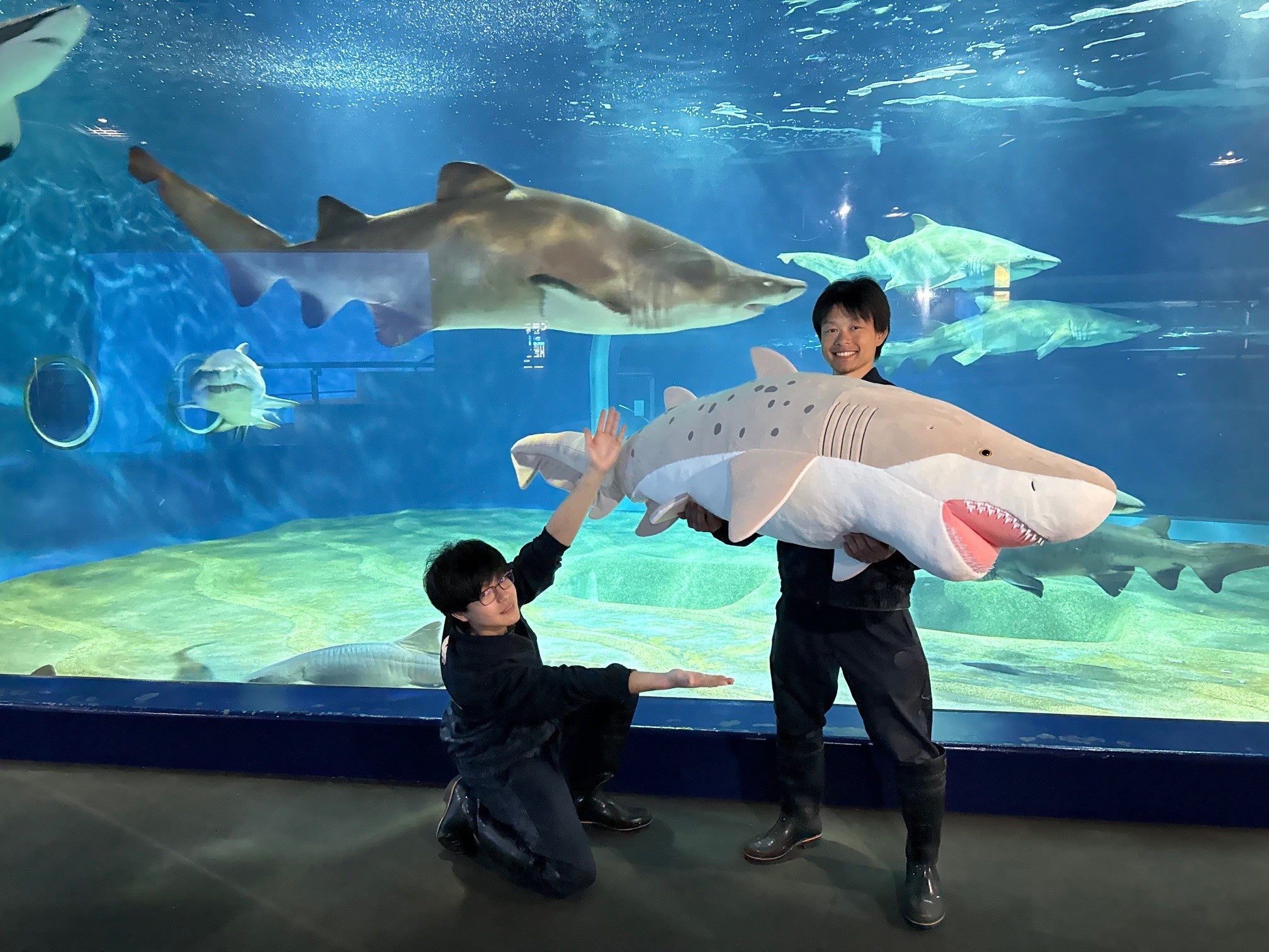 Giant sand tiger shark plush toy