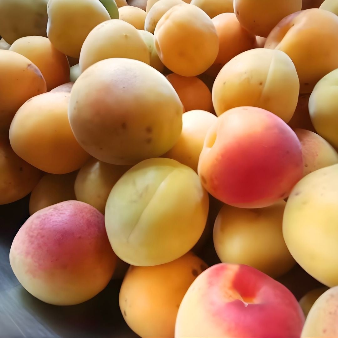 บ๊วยสุกจากอิซุ