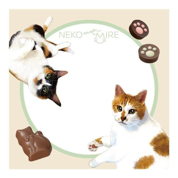 Memo Pad Pages Example