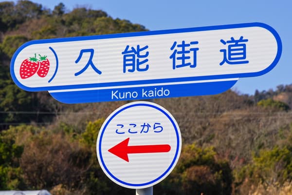 历史悠久的石垣草莓栽培