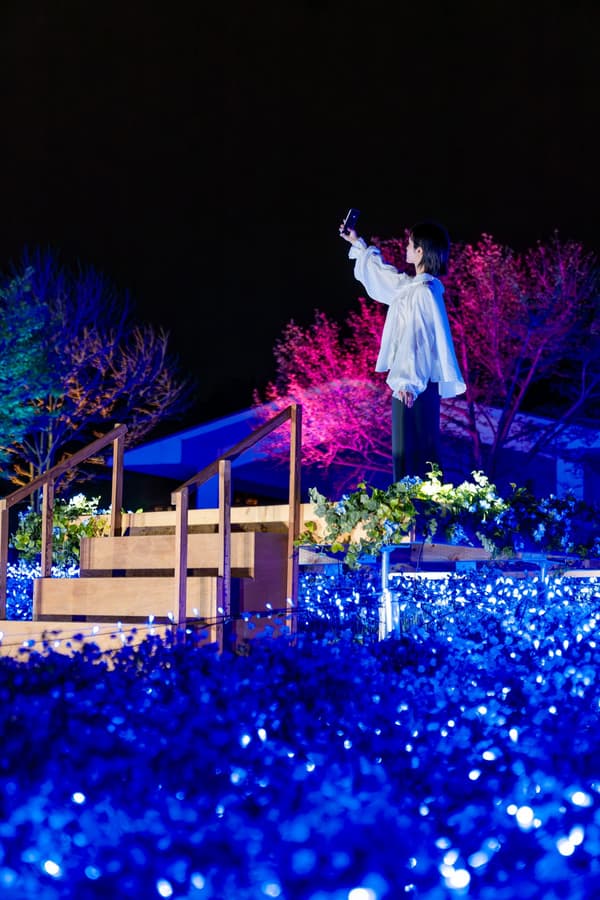 遊客站在透明舞台上，腳下是盛開的粉蝶花