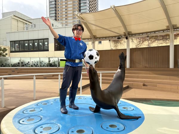 Special Sea Lion Performance