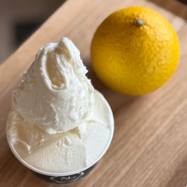 เจลาโต้ชีสเค้ก Shonan Gold หายาก ใช้ส้มจากสวนผลไม้ใกล้เคียง