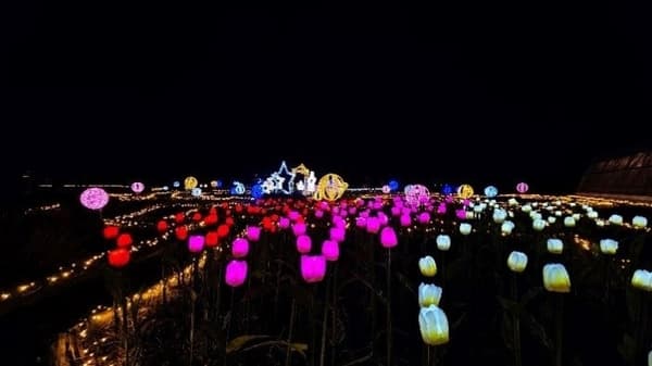 Herb garden illuminations at the center of the park