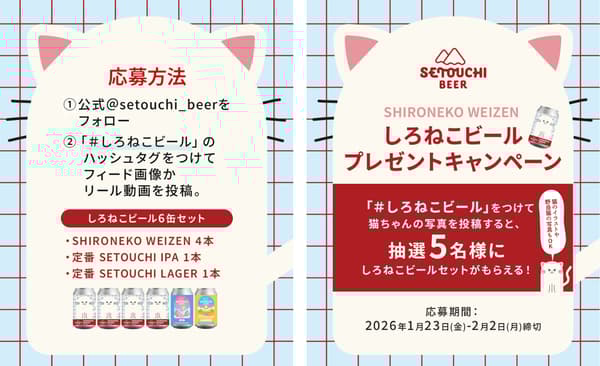 Detalles de la campaña de Instagram