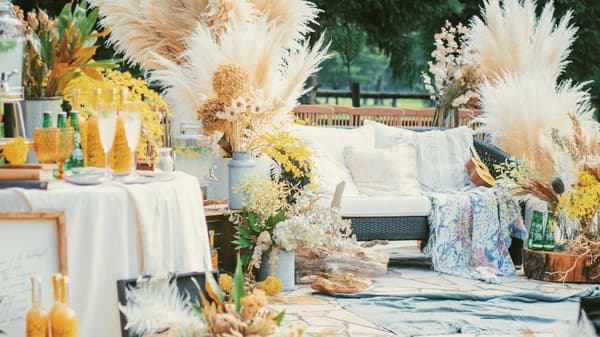 Mimosa Coordination Display Image