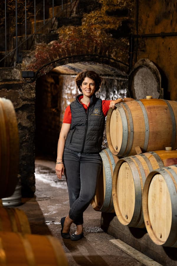 Wine bottles display