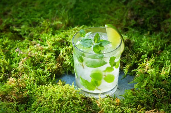 重現奥入瀬渓流森林夏日清涼氛圍的特調飲品