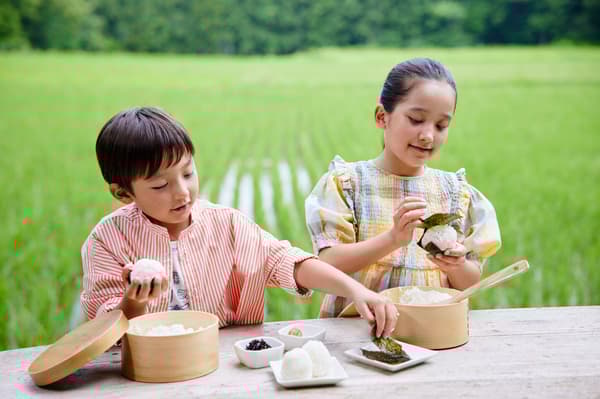 Elaboración de bolas de arroz con arroz recién cocinado