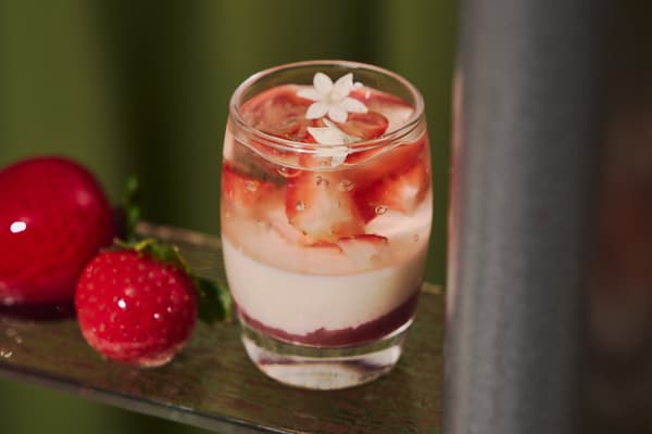 Elderflower Strawberry Panna Cotta