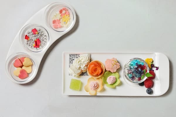 꽃에서 영감을 받은 다채로운 스위츠로 압화 아트에 더욱 화려한 색을 더하세요