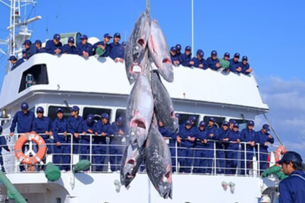Buque escuela Fukushima Maru