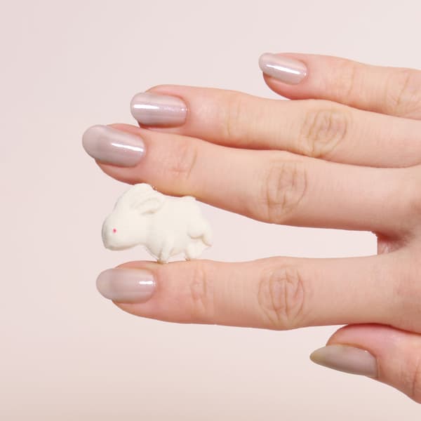 Spring Collection Details 2