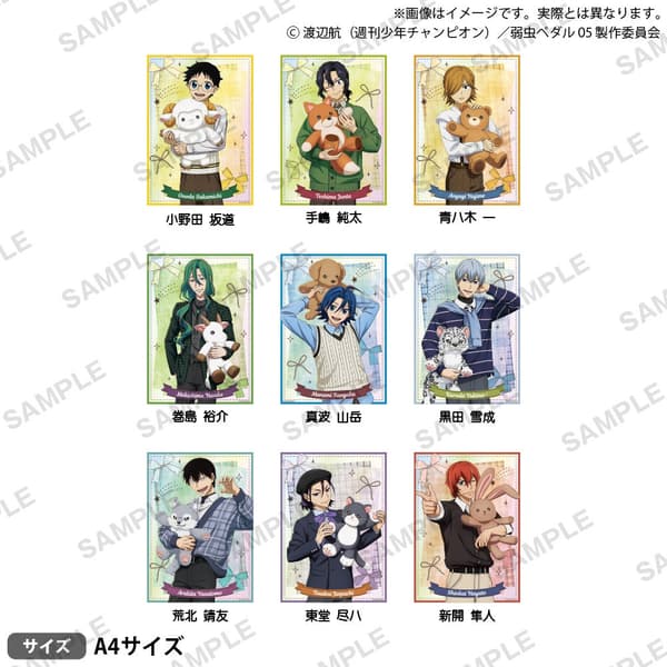 Hologram Visual Sheet