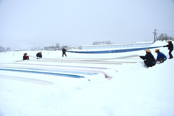 Adegan pemutihan salju (diambil Februari 2025)