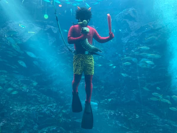 Buzo demonio rojo realizando un espectáculo de alimentación de peces en el Acuario de Shimoda