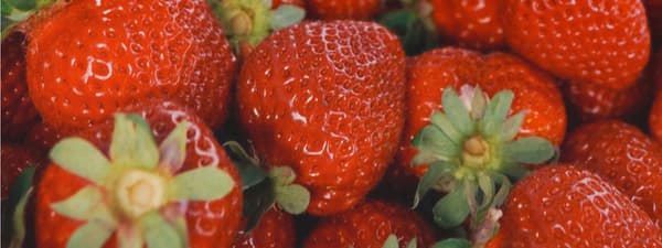 甘王草莓——福岡獨家生產的優質品種