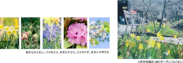 SIKI Garden Spring Season