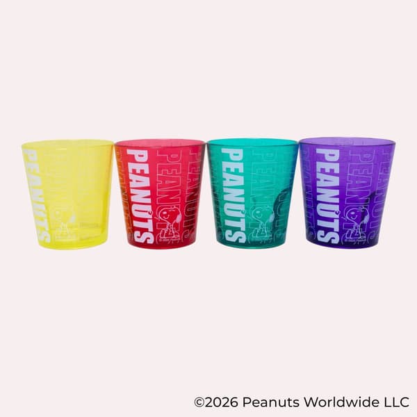 Peanuts Snoopy Mag Bottle 500ml