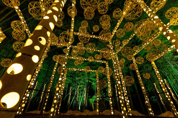 Artistas creando instalaciones de arte de bambú