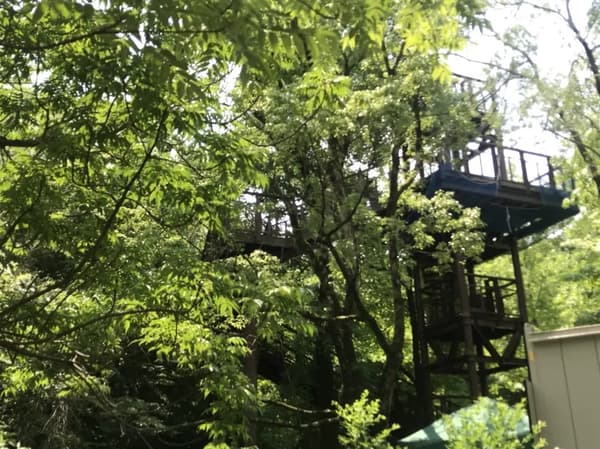 Pasarela del dosel de Solaado