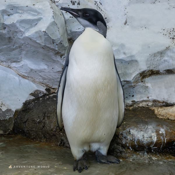 Day 148 (February 25)