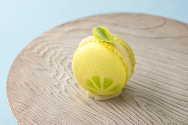 Lime and White Chocolate Macaron