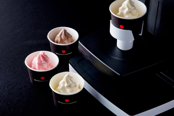 Silk Ice Cream
