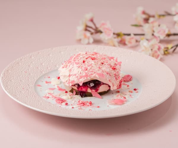 Haru Berry Torukeru Nama Tiramisu from BOTTONE