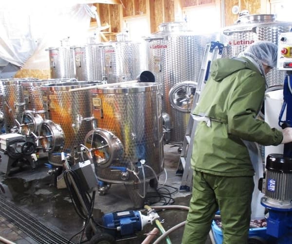 Instalaciones de la bodega