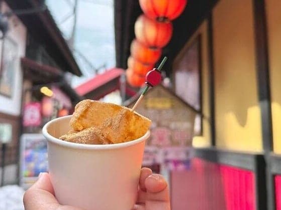 Kai Shingen Raw Warabi Mochi from Fujisan Dango