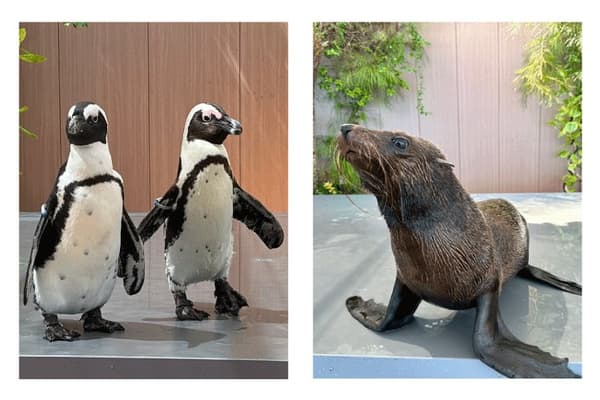 Friendly Time Education ver. (image)