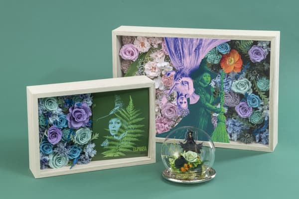 Vista general de la colección con artículos florales de Elphaba y Glinda