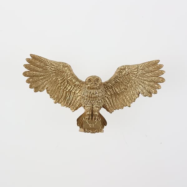 Búho en la copa del árbol