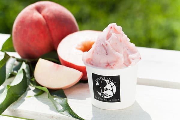 Momo Farm Café La Pesca