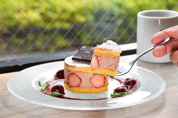 Milk chocolate cream and génoise