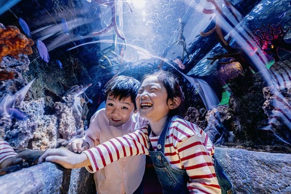 SEA LIFE Nagoya Interior 6