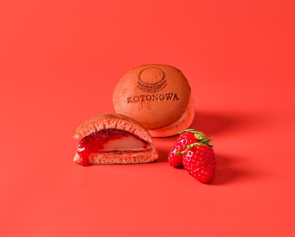 고토카 딸기 잼 도라