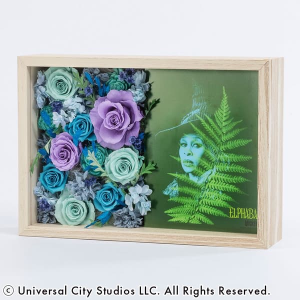 Vista en ángulo del arte enmarcado de Elphaba