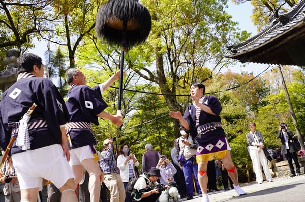 Daimyo Gyoretsu Oyakko (Feudal Lord Procession)