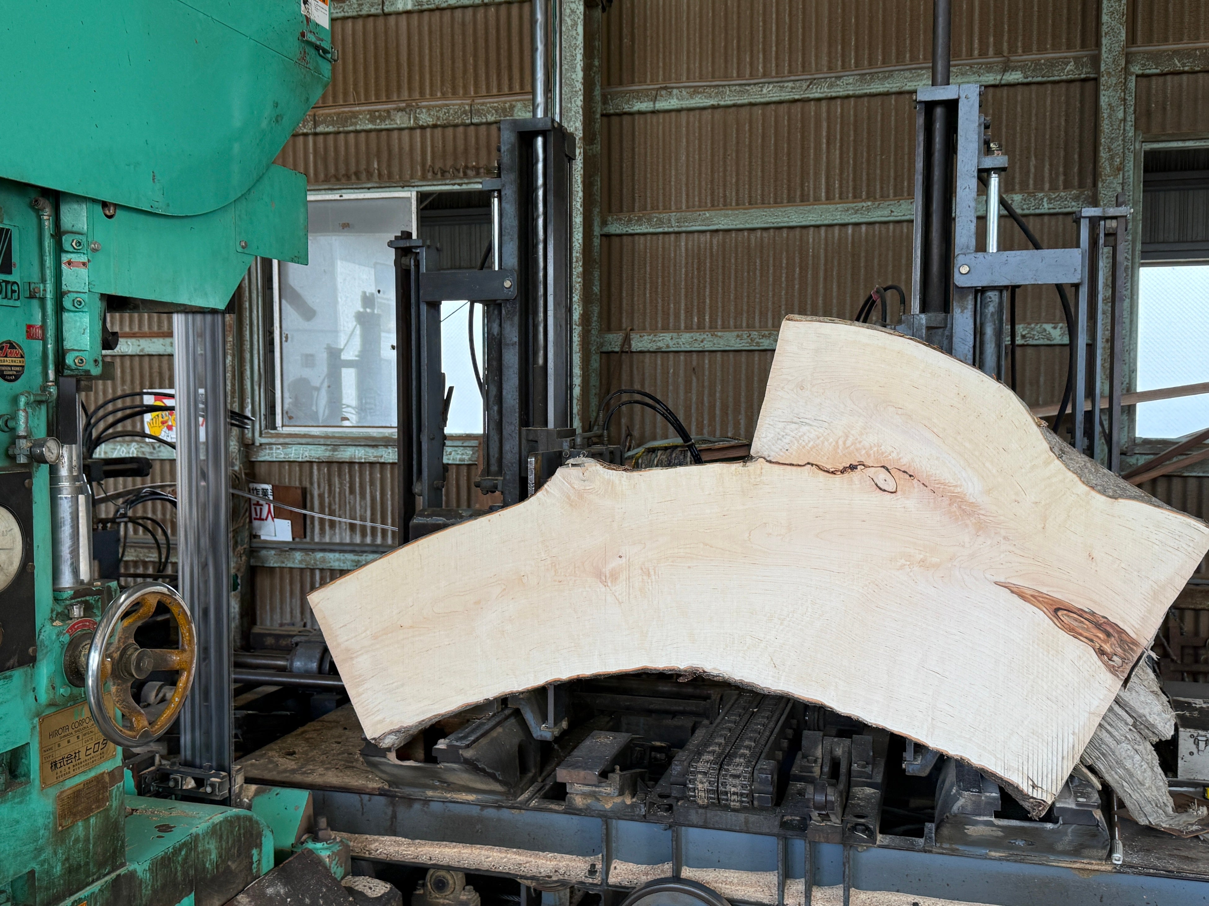 When the band saw blade cuts through the large, twisted itaya maple grown in Nagano City, the interior revealed wild, brownish grain patterns—evidence of surviving the harsh snowy country.