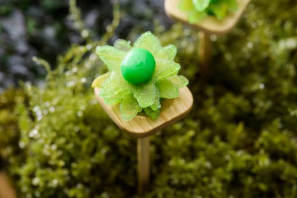 Chips de manzana inspiradas en Kotsubo-goke