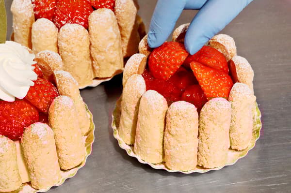 Strawberry Charlotte close-up