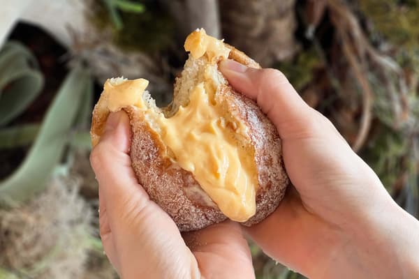 Raw Bagel Donut (Custard) / ¥367 (tax included)