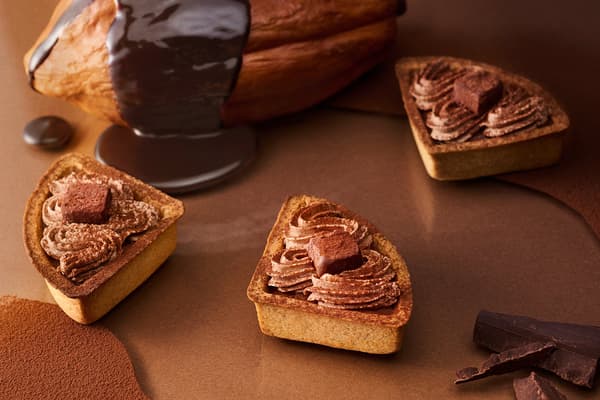 Primer plano de la lujosa tarta de queso de chocolate