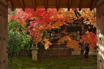 Iluminación otoñal del Jardín Koko-en