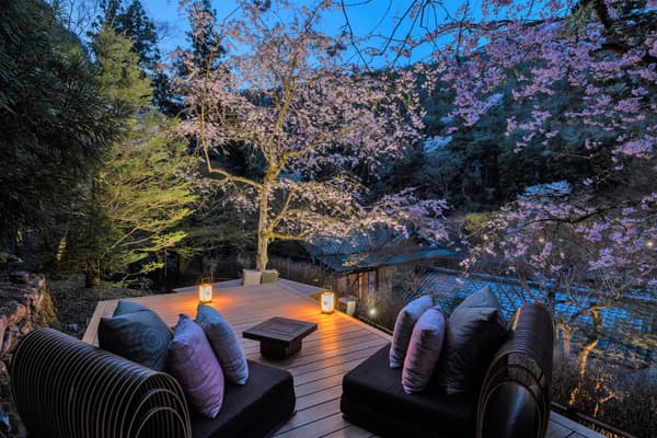 花櫻露台上夜間賞櫻