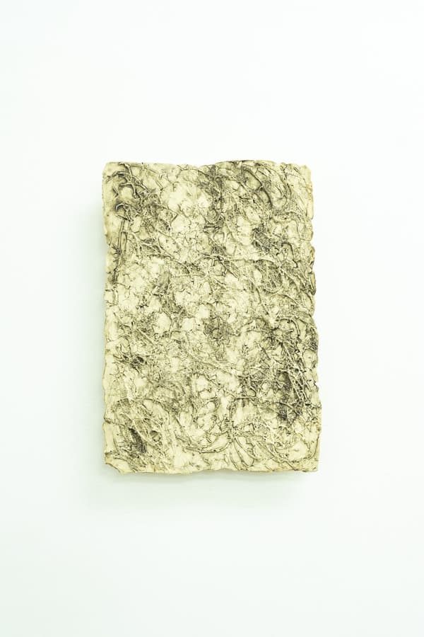 Trace of line Photo by Keisuke Maeda